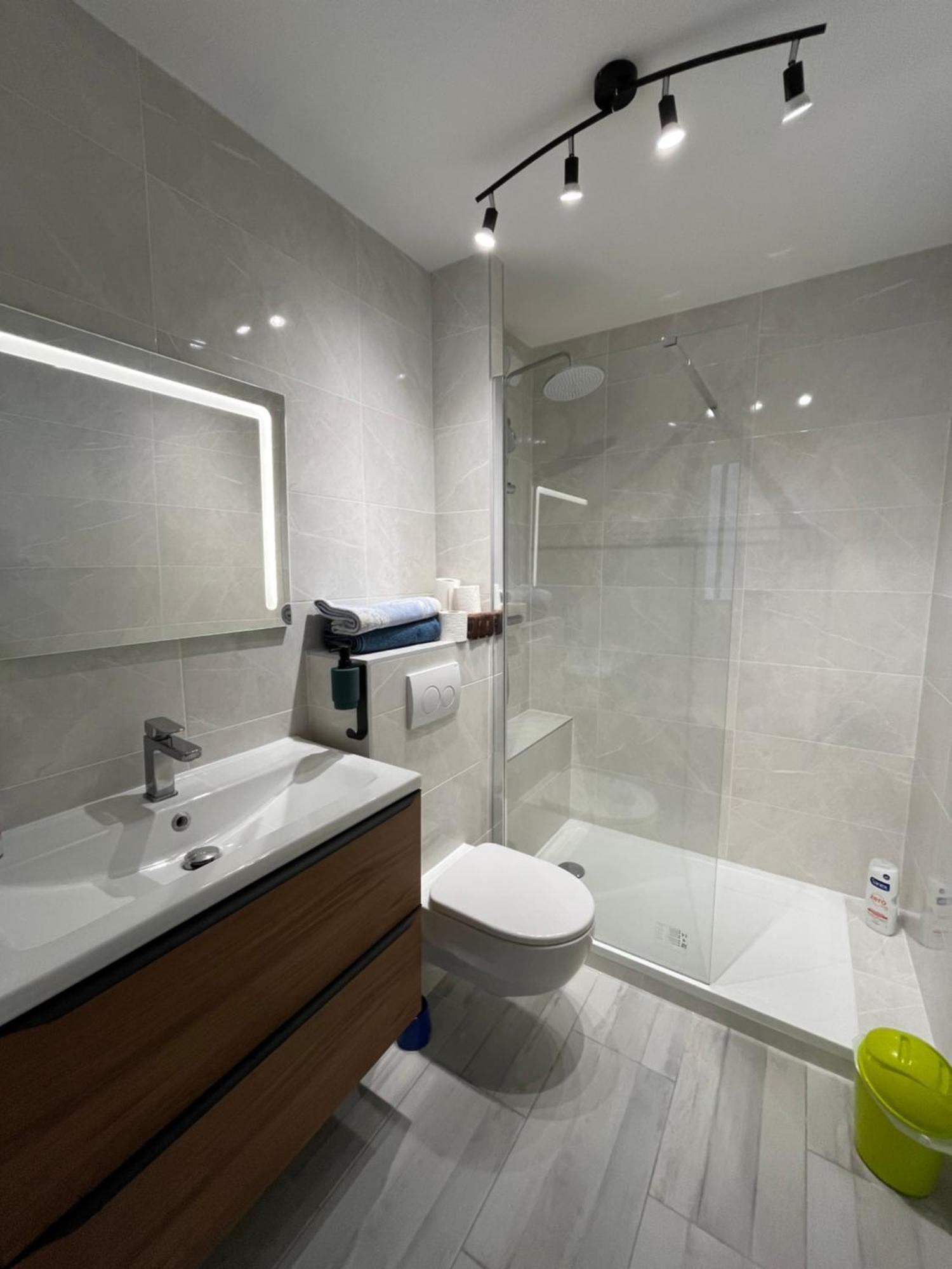 Cocon Annecy 2024 Grand Balcon Le Lac Et Centre Ville A Pied エクステリア 写真